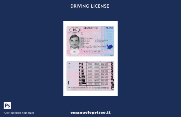 verified style modello presente della patente di guida islandese in stile verificato template